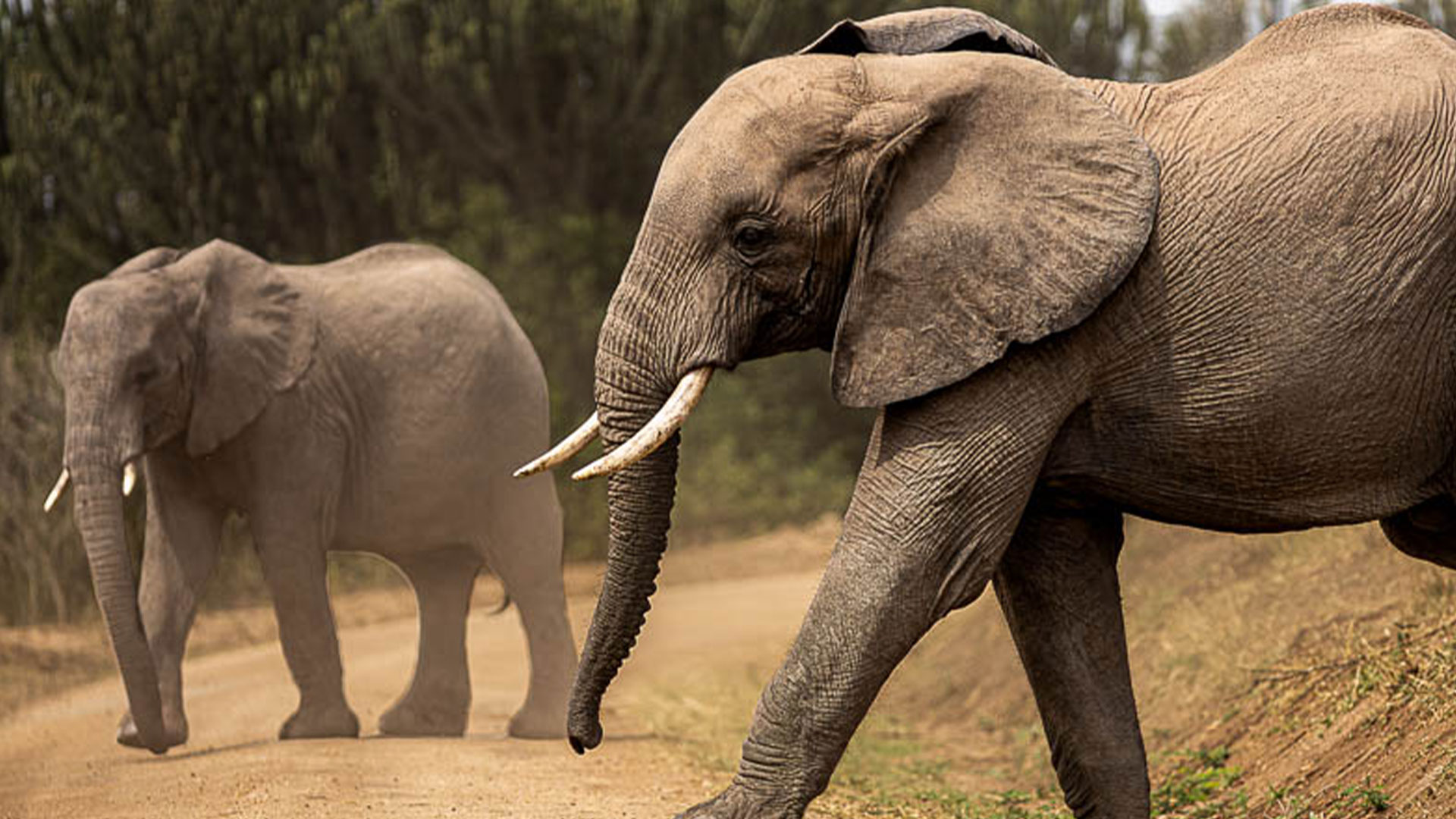 Mystic-Adventures-14