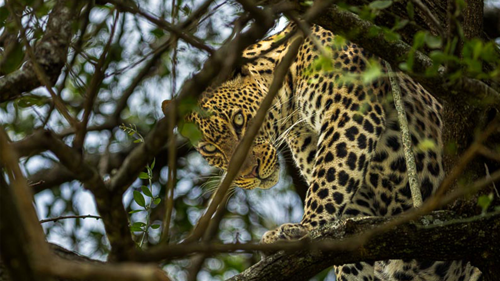 Mystic-Adventures-15