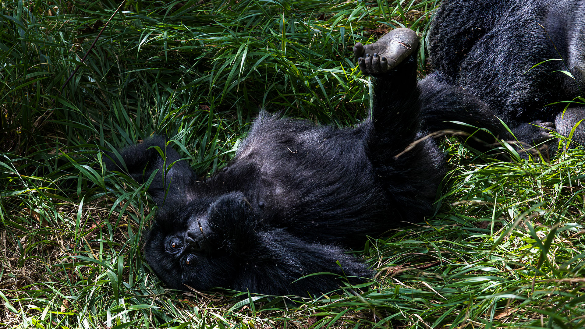 Mystic-Adventures-18