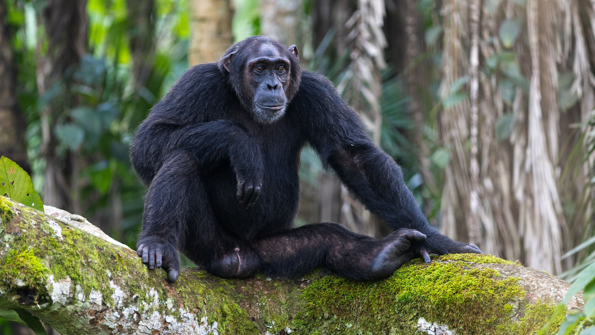 Mystic-Adventures-23