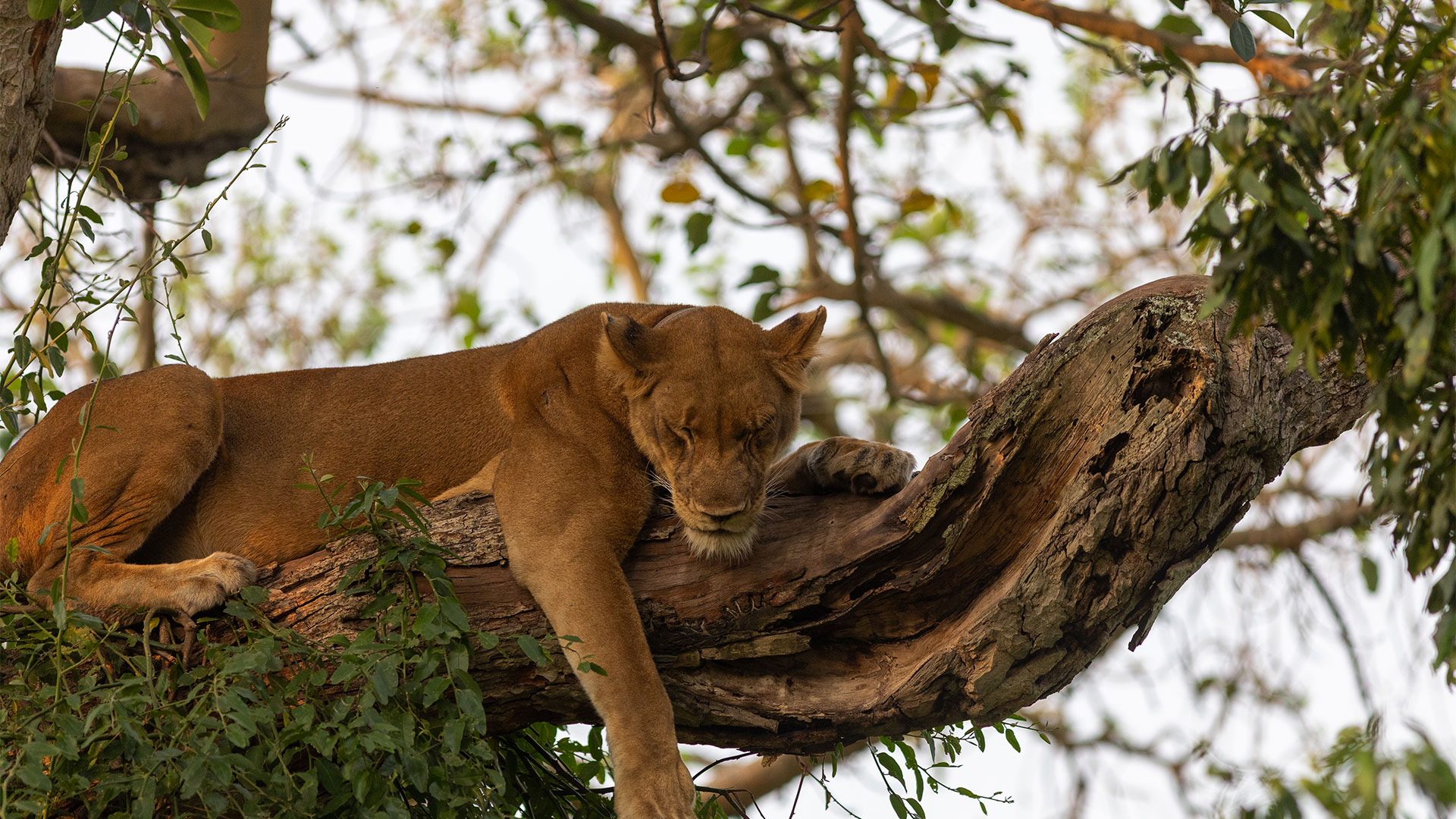 Mystic-Adventures-24