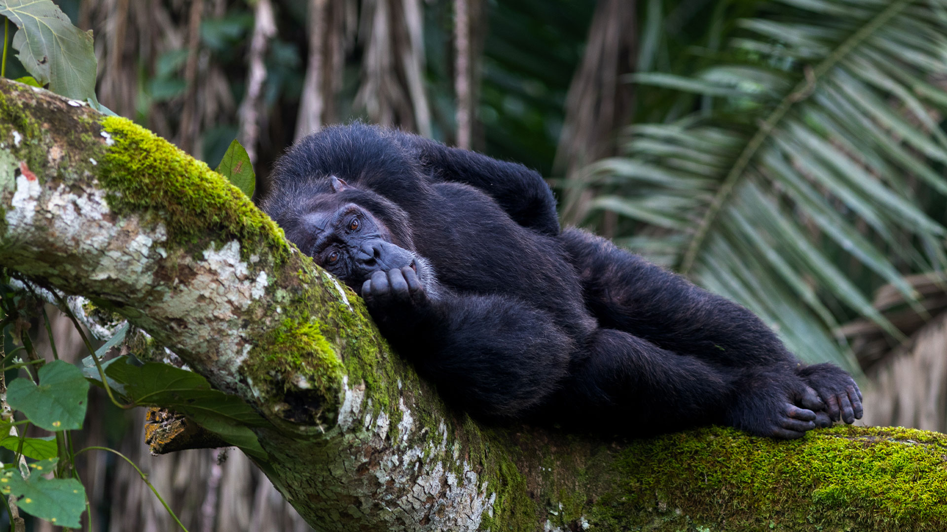 Mystic-Adventures-26